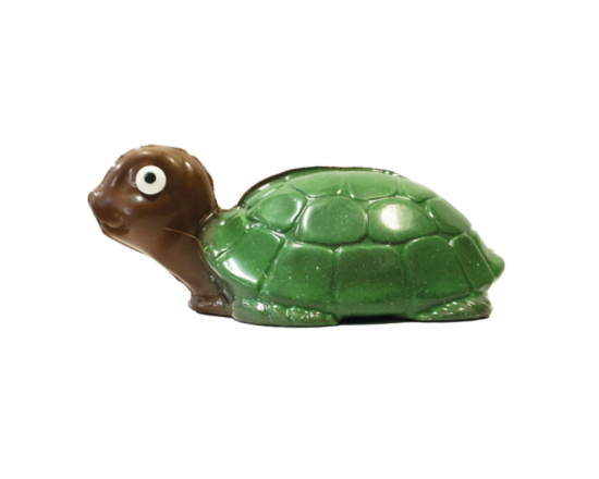 Goliath la tortue (330) - Levée de fonds Fondation BMP